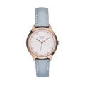 Cauny CMJ004
